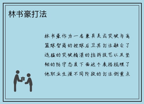 林书豪打法